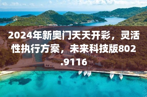 2024年新奥门天天开彩，灵活性执行方案，未来科技版802.9116