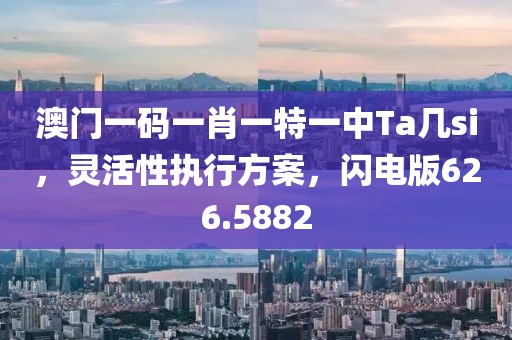 澳门一码一肖一特一中Ta几si，灵活性执行方案，闪电版626.5882