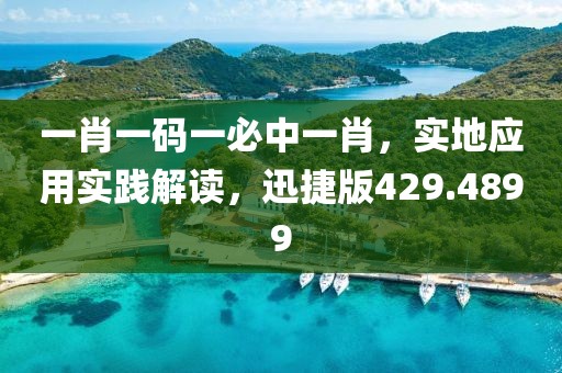一肖一码一必中一肖，实地应用实践解读，迅捷版429.4899