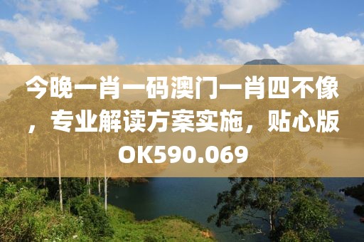 今晚一肖一码澳门一肖四不像，专业解读方案实施，贴心版OK590.069