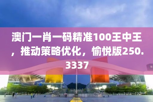 澳门一肖一码精准100王中王，推动策略优化，愉悦版250.3337