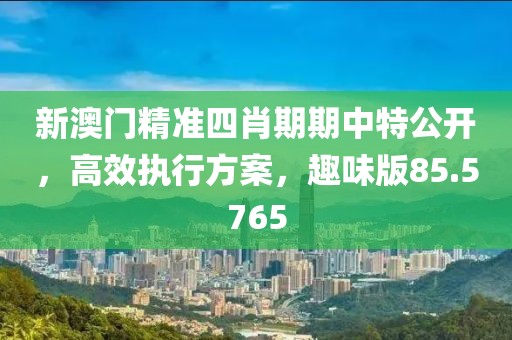 新澳门精准四肖期期中特公开，高效执行方案，趣味版85.5765