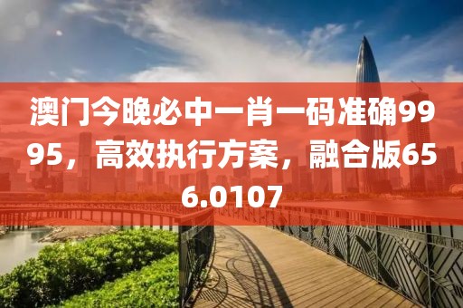 澳门今晚必中一肖一码准确9995，高效执行方案，融合版656.0107
