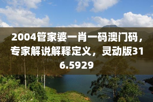 2004管家婆一肖一码澳门码，专家解说解释定义，灵动版316.5929