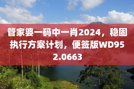 管家婆一码中一肖2024，稳固执行方案计划，便签版WD952.0663