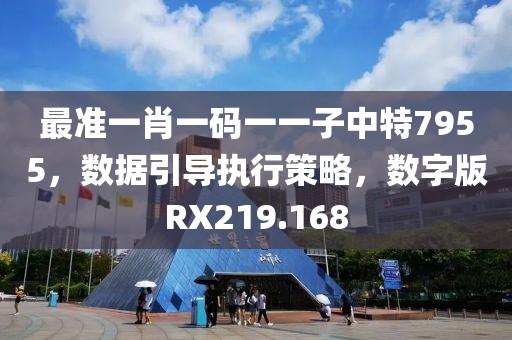 最准一肖一码一一子中特7955，数据引导执行策略，数字版RX219.168