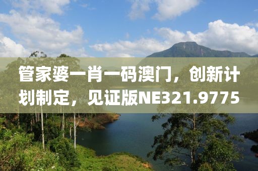 管家婆一肖一码澳门，创新计划制定，见证版NE321.9775