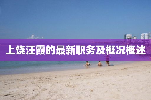 上饶汪霞的最新职务及概况概述