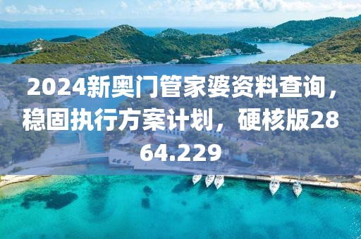 2024新奥门管家婆资料查询，稳固执行方案计划，硬核版2864.229
