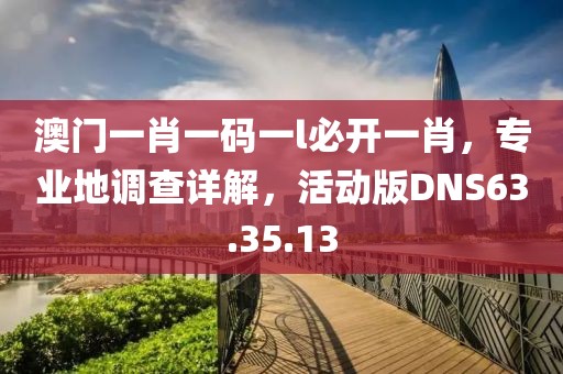 澳门一肖一码一l必开一肖，专业地调查详解，活动版DNS63.35.13
