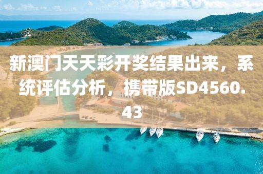 新澳门天天彩开奖结果出来，系统评估分析，携带版SD4560.43