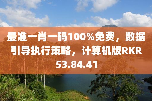 最准一肖一码100%免费，数据引导执行策略，计算机版RKR53.84.41