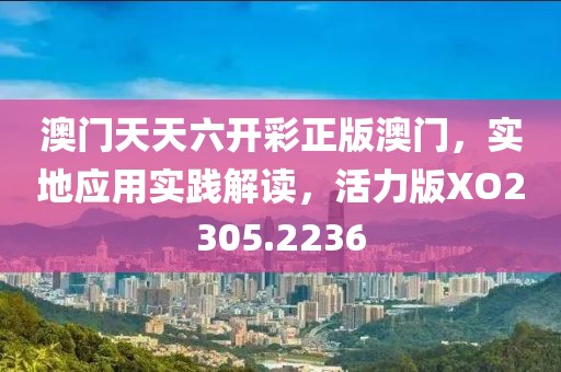 澳门天天六开彩正版澳门，实地应用实践解读，活力版XO2305.2236