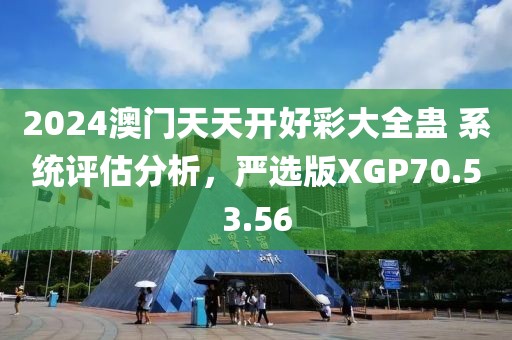 2024澳门天天开好彩大全蛊 系统评估分析，严选版XGP70.53.56