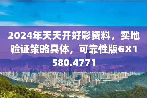 2024年天天开好彩资料，实地验证策略具体，可靠性版GX1580.4771