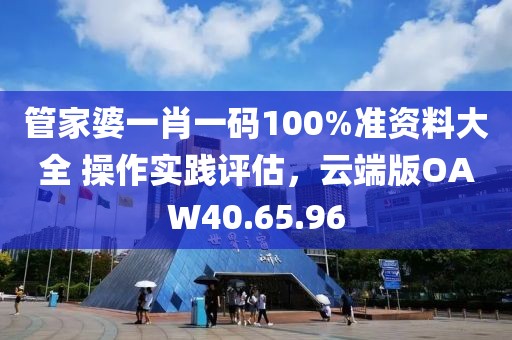 管家婆一肖一码100%准资料大全 操作实践评估，云端版OAW40.65.96