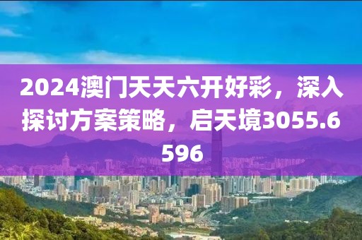 2024澳门天天六开好彩，深入探讨方案策略，启天境3055.6596