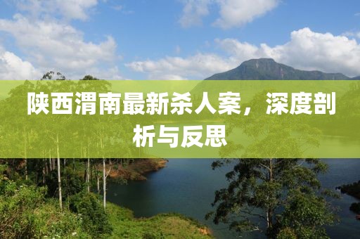 陕西渭南最新杀人案，深度剖析与反思
