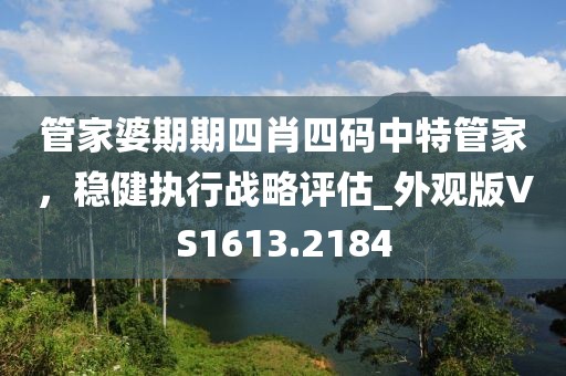 管家婆期期四肖四码中特管家，稳健执行战略评估_外观版VS1613.2184