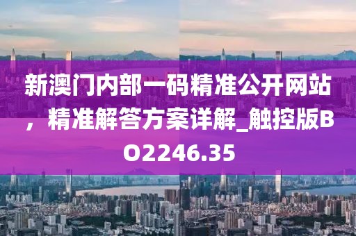 新澳门内部一码精准公开网站，精准解答方案详解_触控版BO2246.35
