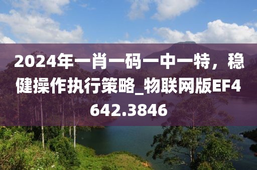 2024年一肖一码一中一特，稳健操作执行策略_物联网版EF4642.3846