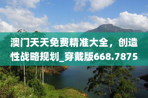 澳门天天免费精准大全，创造性战略规划_穿戴版668.7875