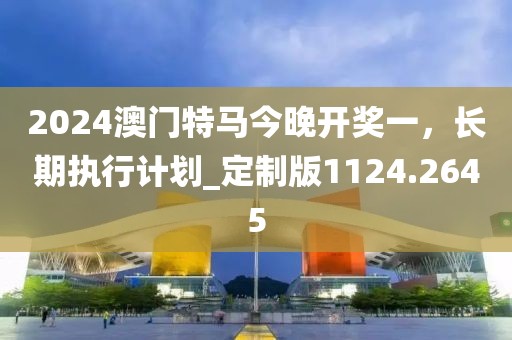 2024澳门特马今晚开奖一，长期执行计划_定制版1124.2645