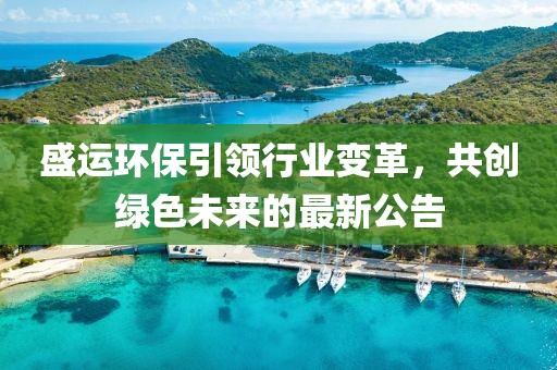 盛运环保引领行业变革，共创绿色未来的最新公告