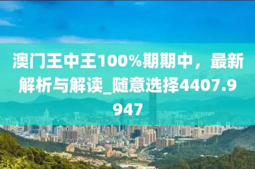 澳门王中王100%期期中，最新解析与解读_随意选择4407.9947