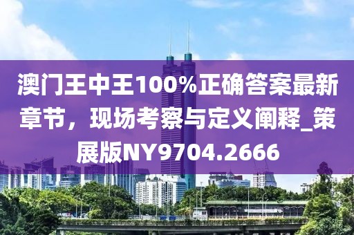 澳门王中王100%正确答案最新章节，现场考察与定义阐释_策展版NY9704.2666