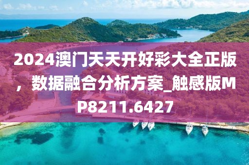 2024澳门天天开好彩大全正版，数据融合分析方案_触感版MP8211.6427