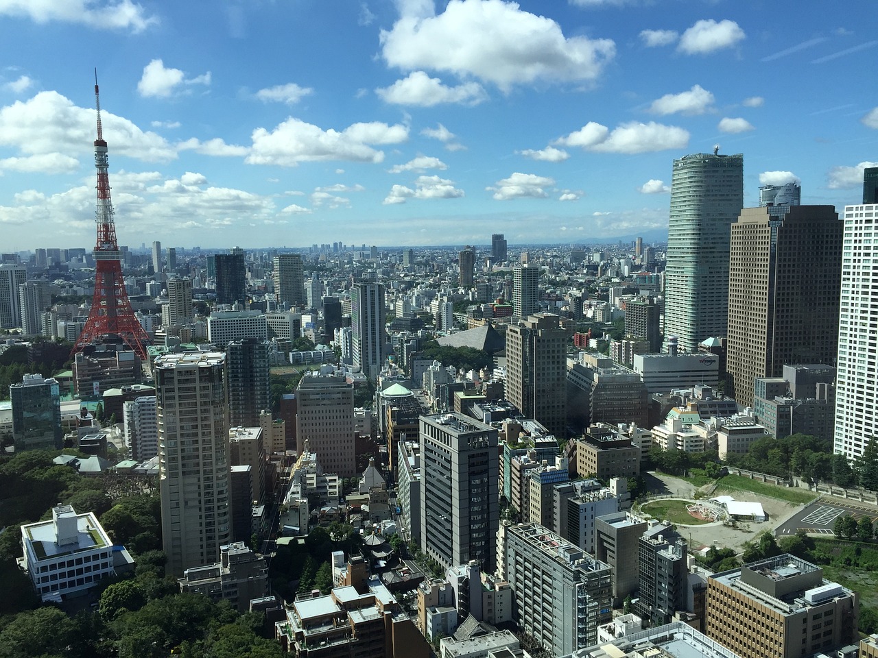 福州今日钢筋最新报价与市场动态分析