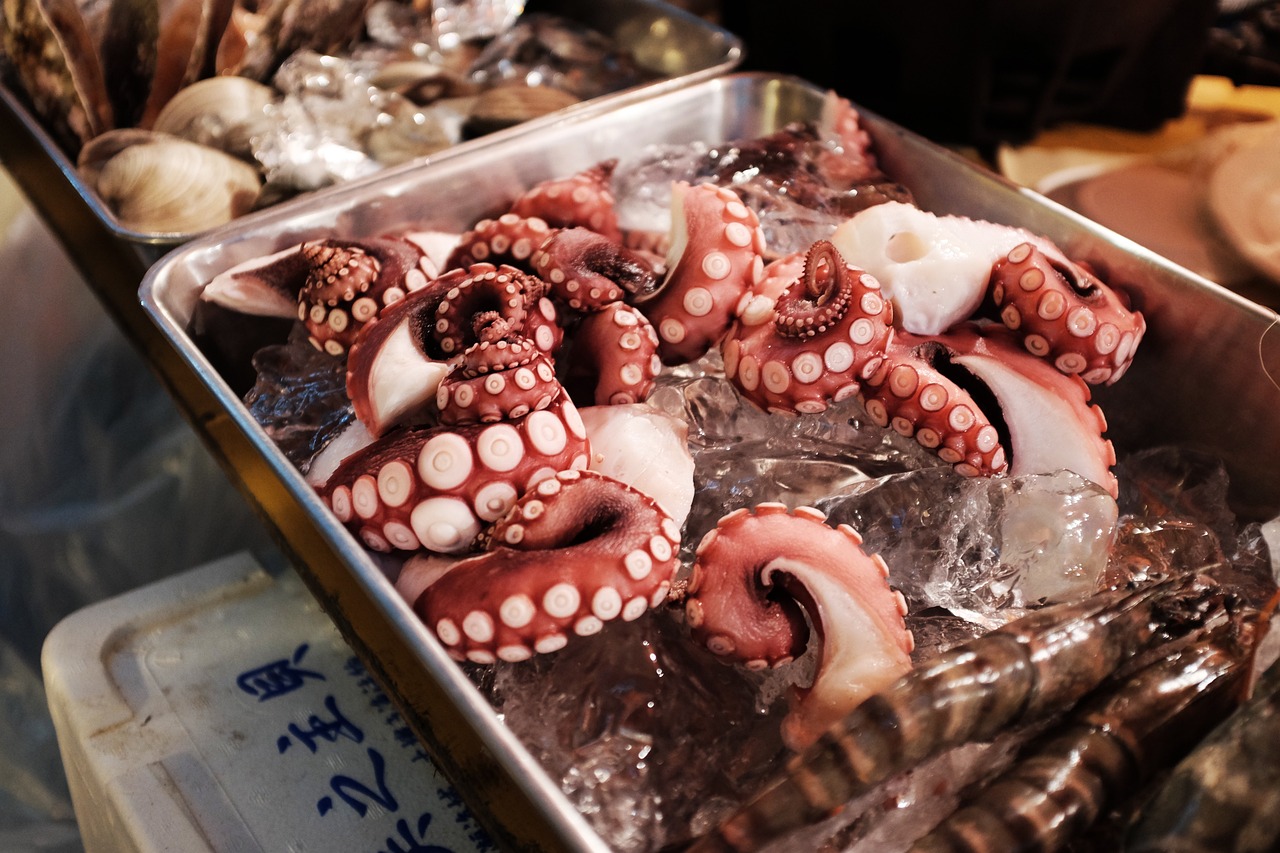 探索海洋美食新境界，最新海鲜菜品一览