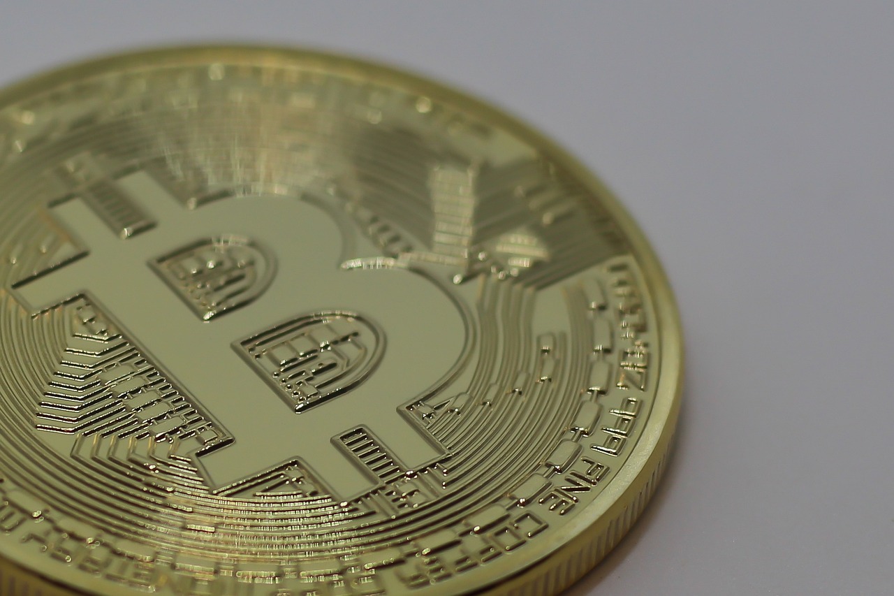 金乡小蒜最新价格动态分析与趋势预测