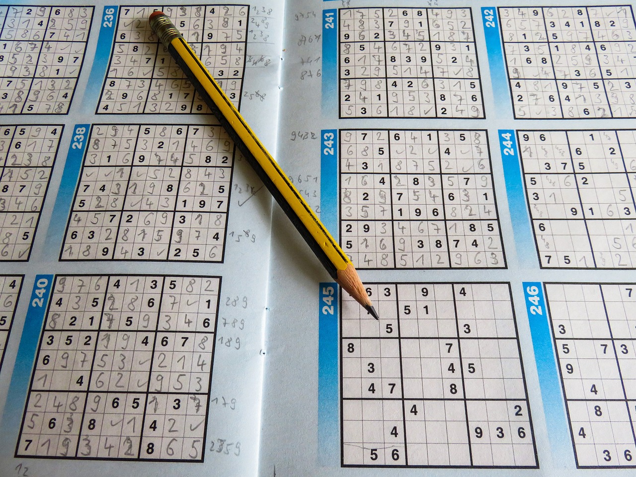 奥门开奖结果+开奖记录2024年资料网站，高效实施解答策略_家用型OQ8035.8692
