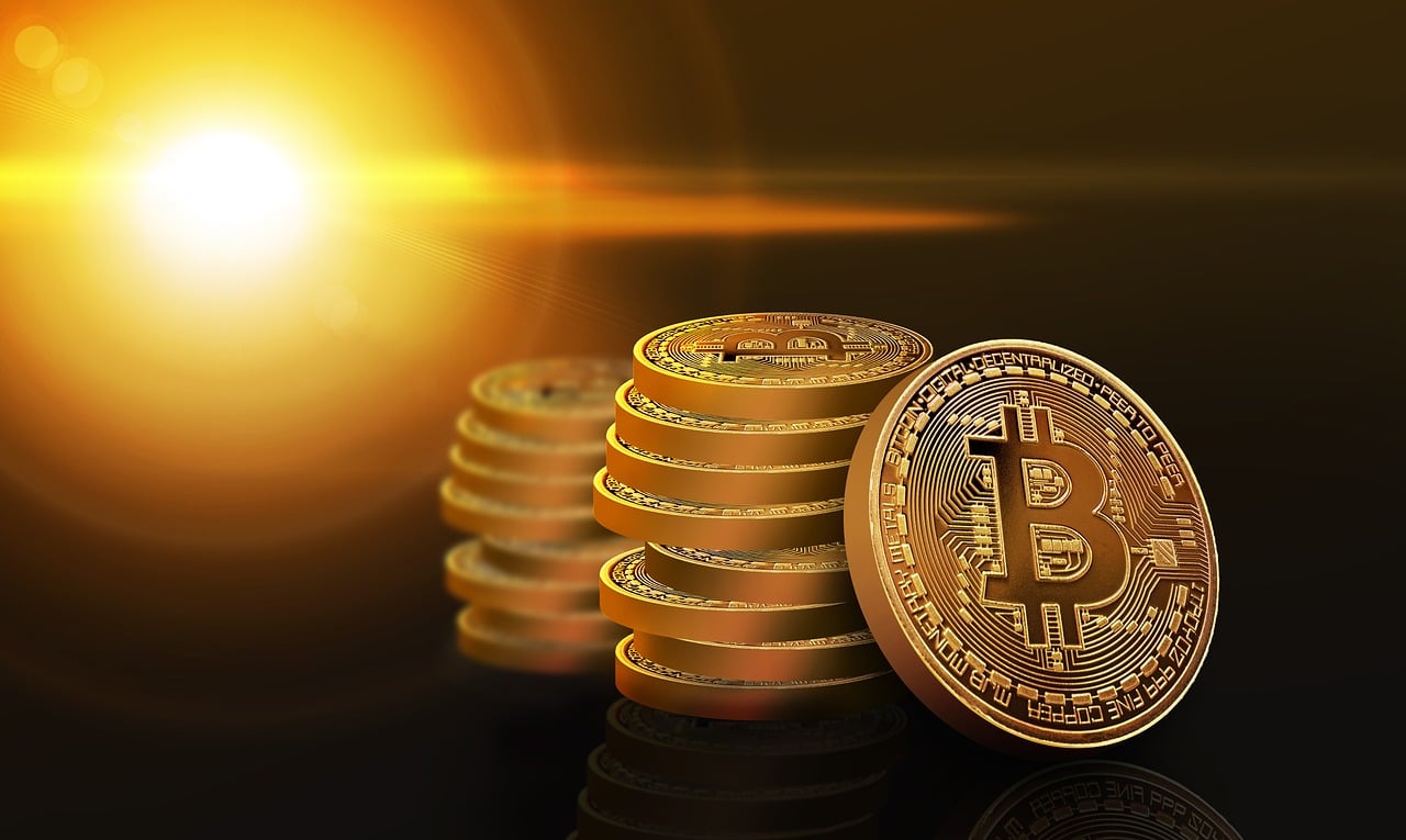 上海最新车牌价格分析，市场走势与影响因素探讨