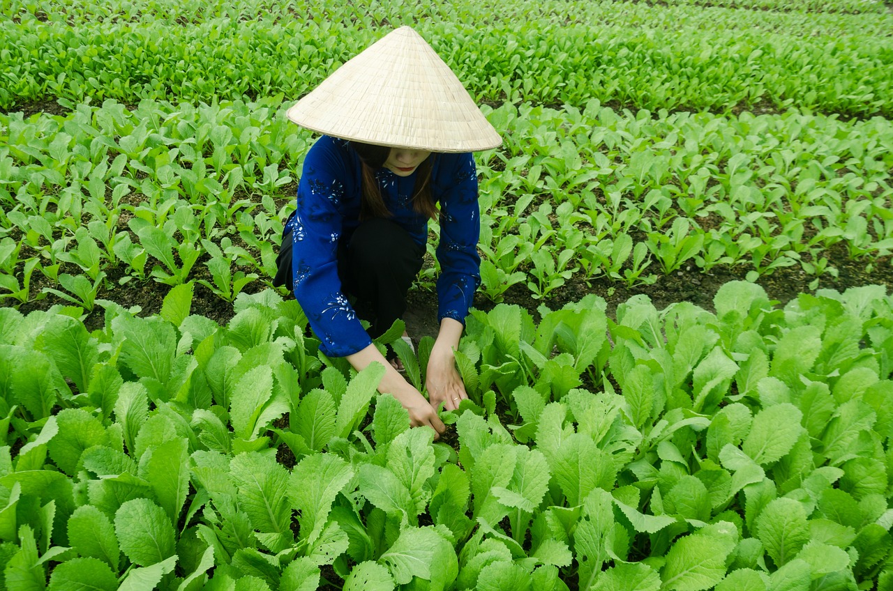 于都棚户区改造最新动态及最新发展概况