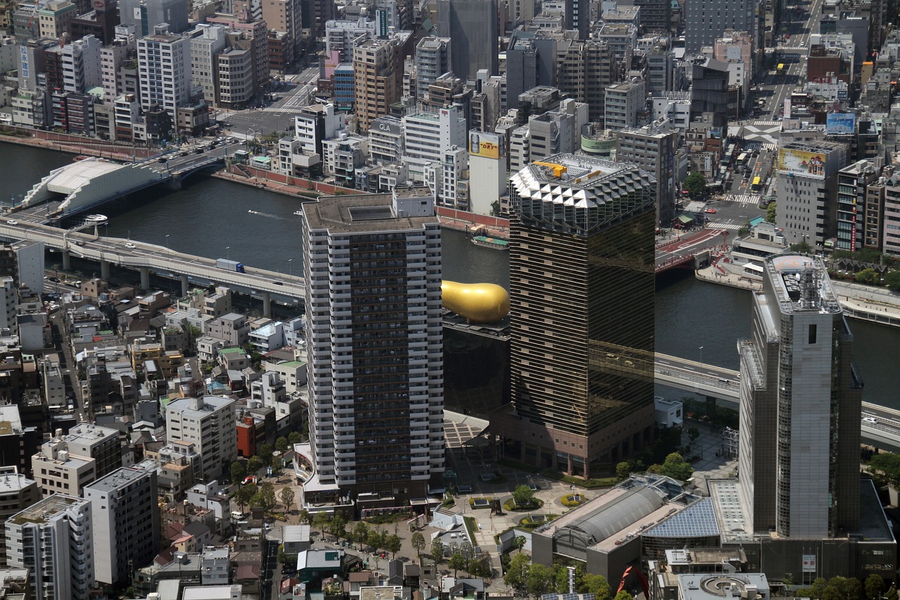 枕千古 第21页