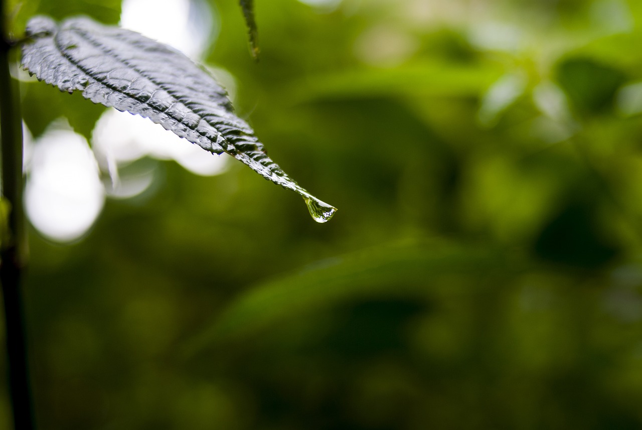 大庆地震最新动态，全面解读与应对策略